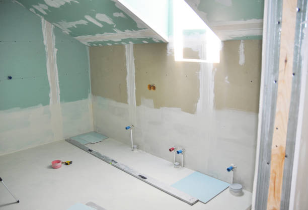 Best Real Estate Mold Inspection  in Mahomet, IL