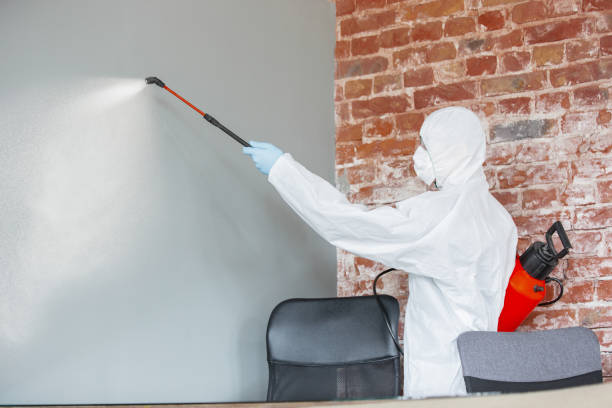 Forensic Mold Investigation in Mahomet, IL