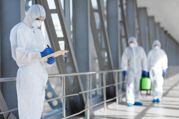 Best Mold Damage Restoration  in Mahomet, IL