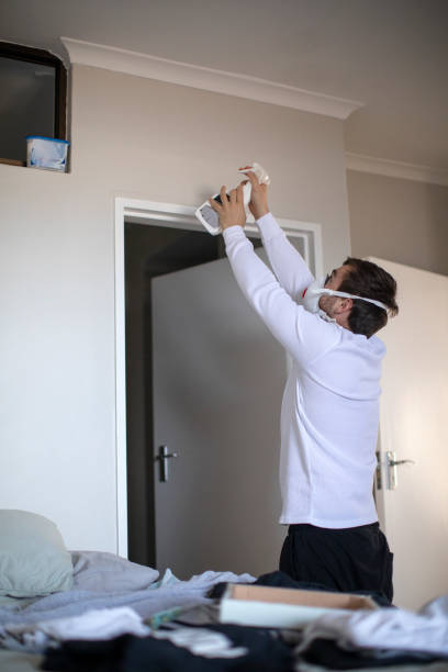 Best Mold Remediation for Healthcare Facilities  in Mahomet, IL