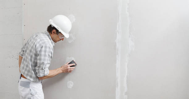 Best Post-Remediation Verification Testing  in Mahomet, IL