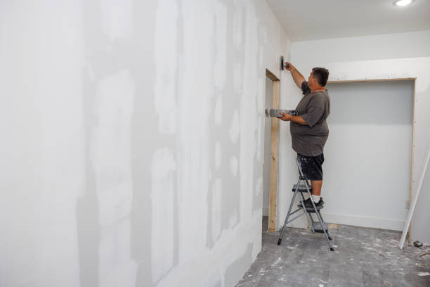 Best Comprehensive Air Testing for Mold Contaminants  in Mahomet, IL