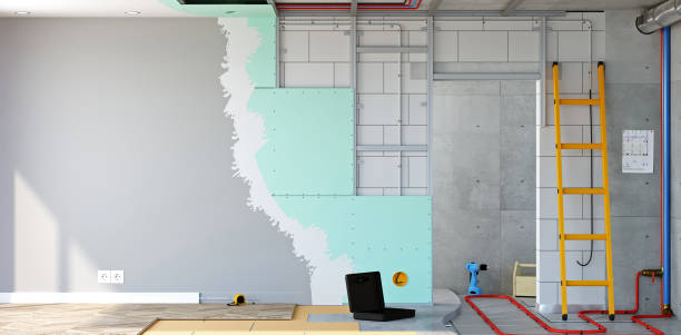 Professional Mold Removal in Mahomet, IL