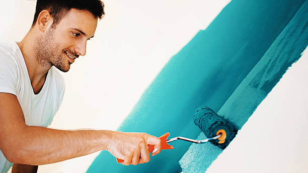 Best Forensic Mold Investigation  in Mahomet, IL