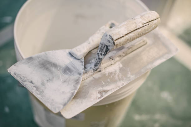 Best Residential Mold Inspection & Testing  in Mahomet, IL