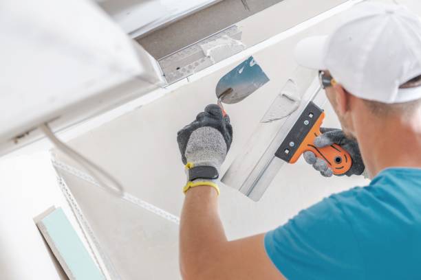 Best Airborne Mold Testing  in Mahomet, IL